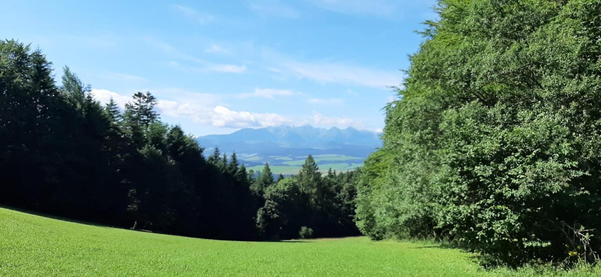 Szczytowisko Villa Grywald Eksteriør billede